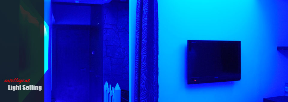 Intelligent Home
